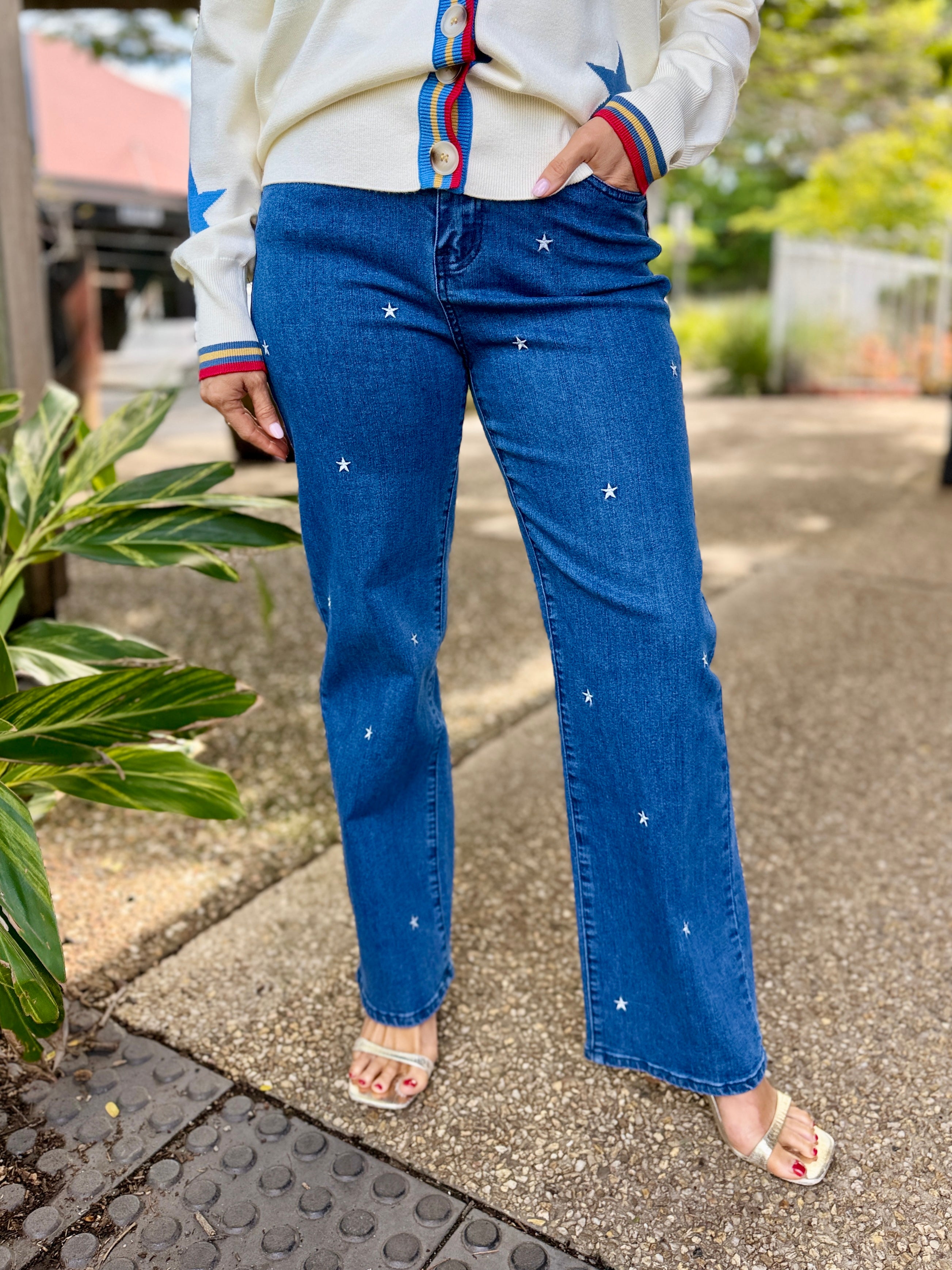 Hollywood Star Jean
